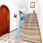 플로리다 포지타노